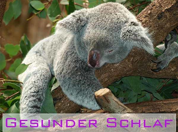 Gesunder Schlaf natürliche Mittel und Rituale helefen bei Schlafproblemen